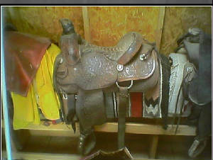 saddle.jpg